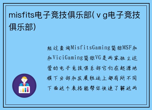 misfits电子竞技俱乐部(ⅴg电子竞技俱乐部)
